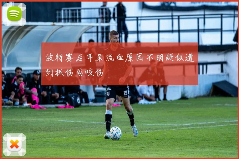 波特赛后耳朵流血原因不明疑似遭到抓伤或咬伤